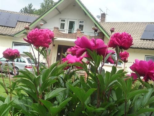 Linchens Bed And Breakfast Felbridge ภายนอก รูปภาพ