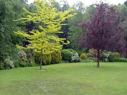 Linchens Bed And Breakfast Felbridge ภายนอก รูปภาพ